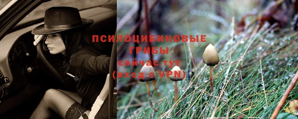 кокаин премиум Медногорск