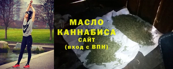 гидра Медвежьегорск