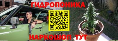 mdma Дубна