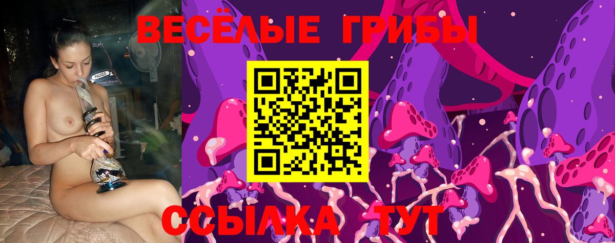 Галлюциногенные грибы GOLDEN TEACHER  Вход с VPN  Петрозаводск 