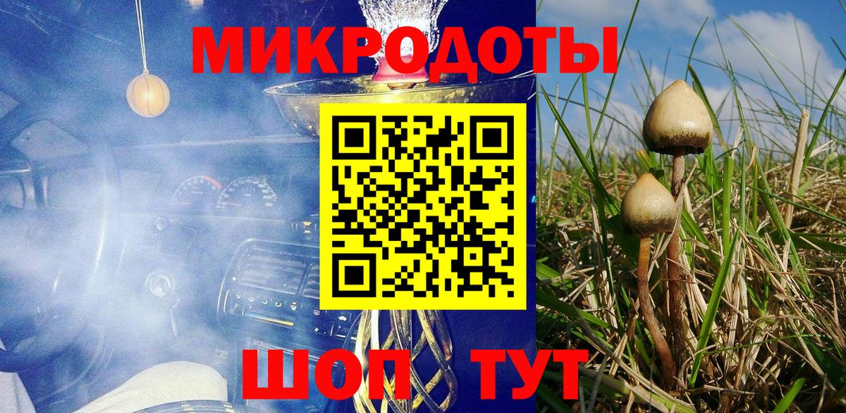 Галлюциногенные грибы Psilocybe Петрозаводск